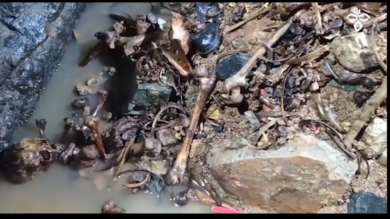 Aranzadi en el pozo de la finca "El Salamanco Chico" (Feria, Badajoz) | Ver ahora