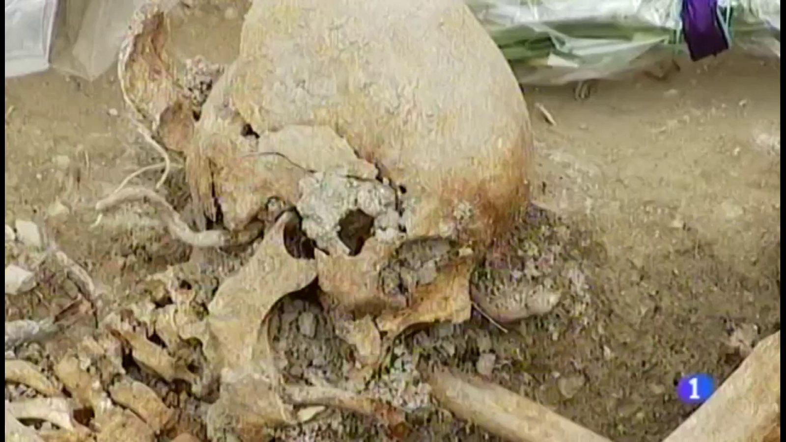 Identificados los restos hallados en la fosa de Sant Joan (Mallorca) | Ver ahora