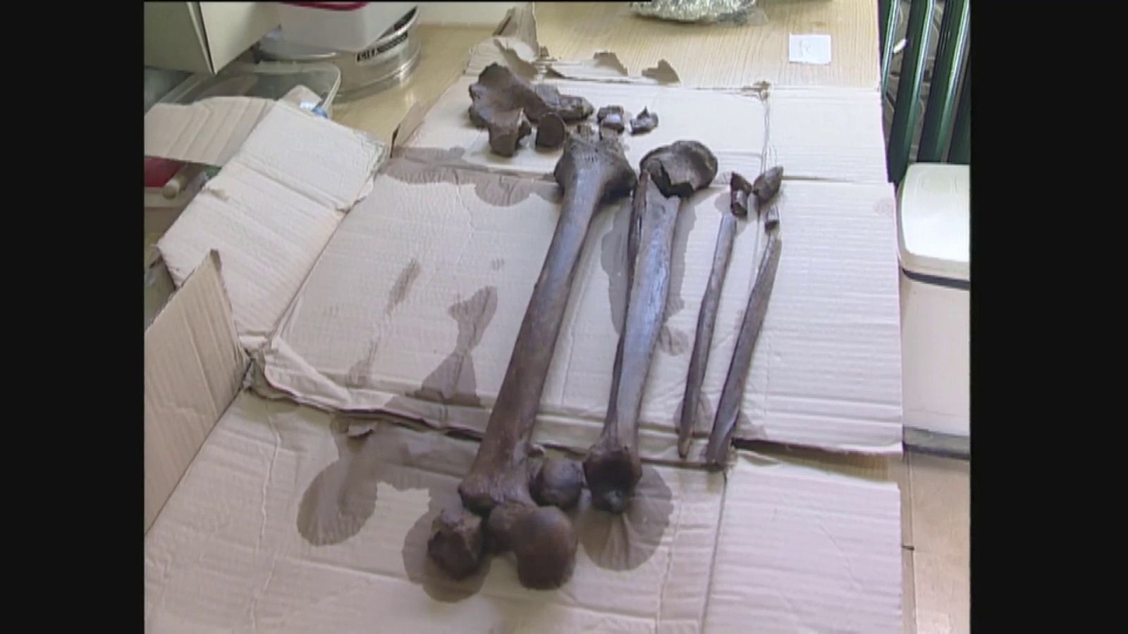 Trabajos en la fosa del paraje Matazal en Zaldibia (Gipuzkoa) | Ver ahora