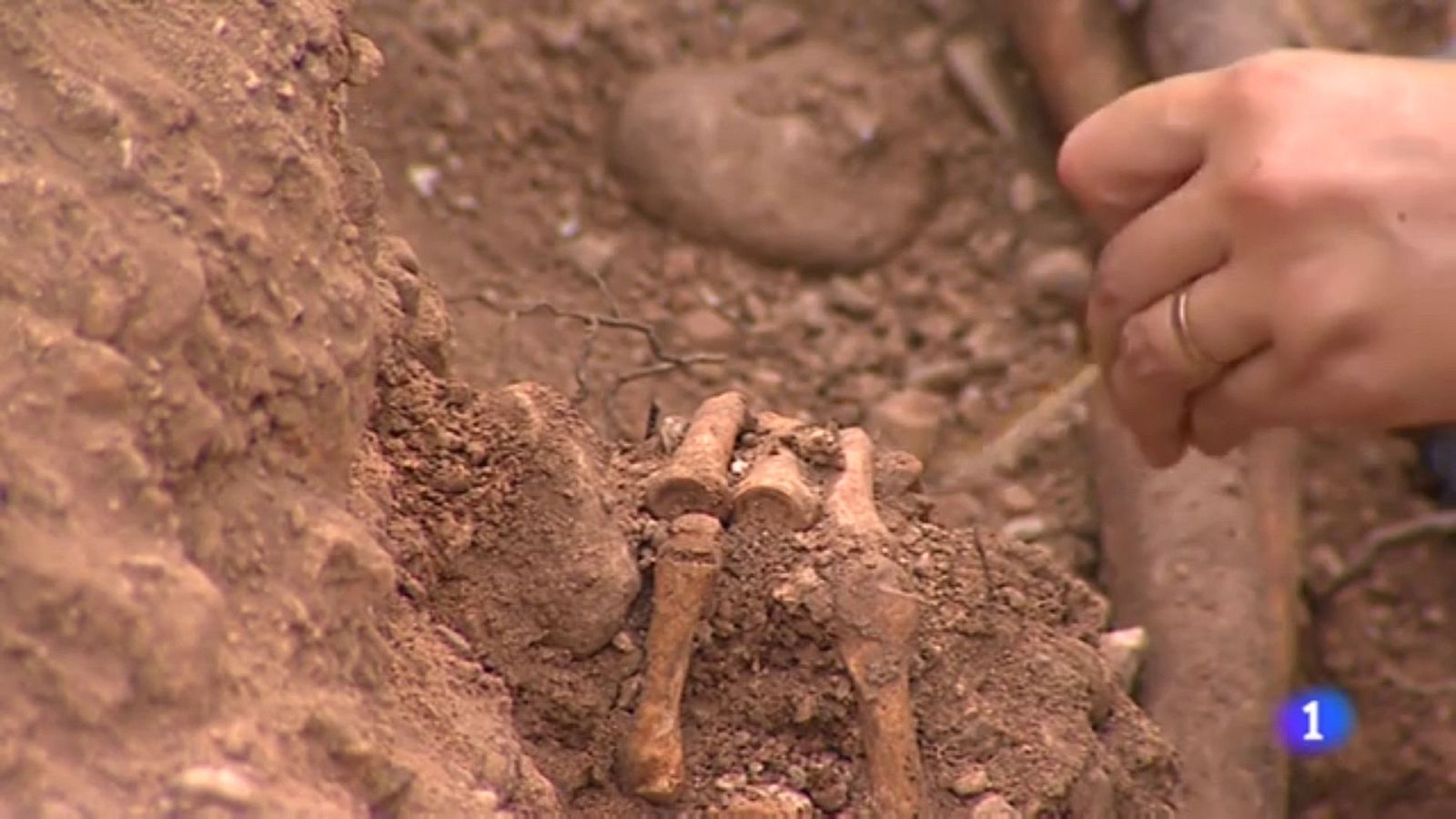 Segunda fase de la excavación de la fosa de Montuïri (Mallorca) | Ver ahora