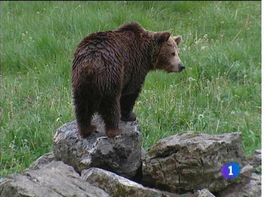 Panorama Regional - Panorama Regional 2 - 25/01/13