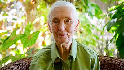 Jane, la nueva generacin