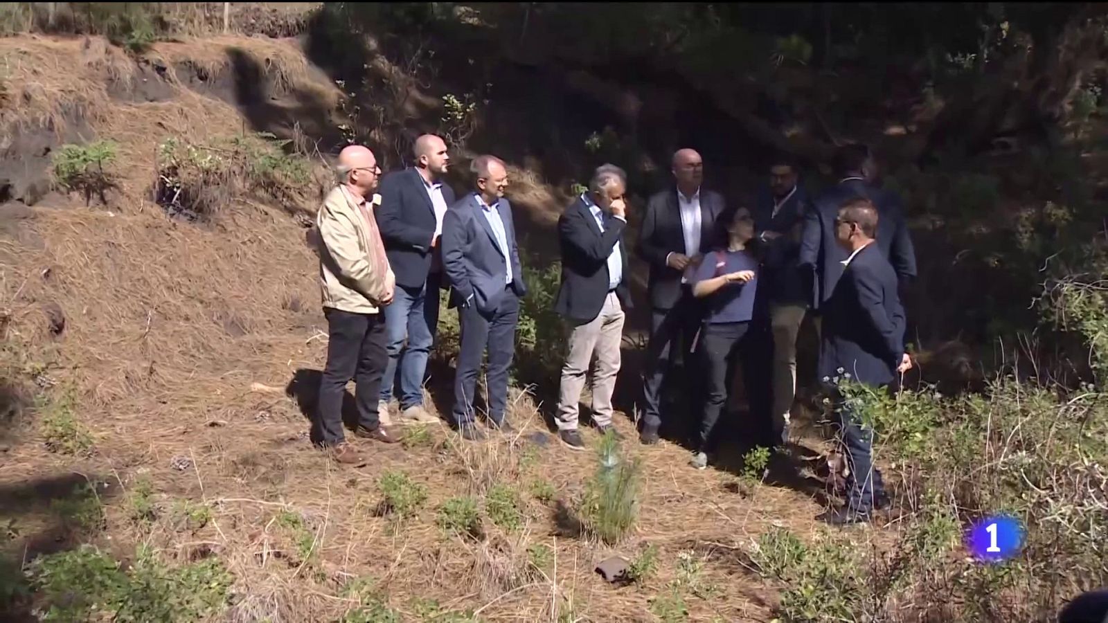 Exhumados ocho cuerpos de "Los 13 de Fuencaliente" (Santa Cruz de Tenerife) | Ver ahora