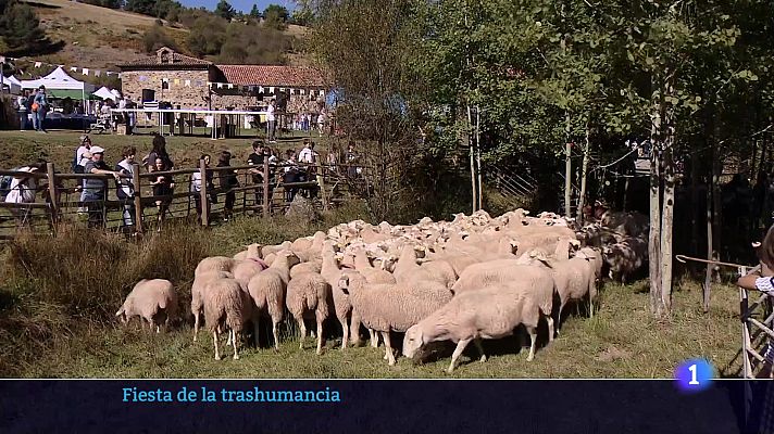 Informativo Telerioja - Informativo Telerioja 06-10-2025 Ver ahora