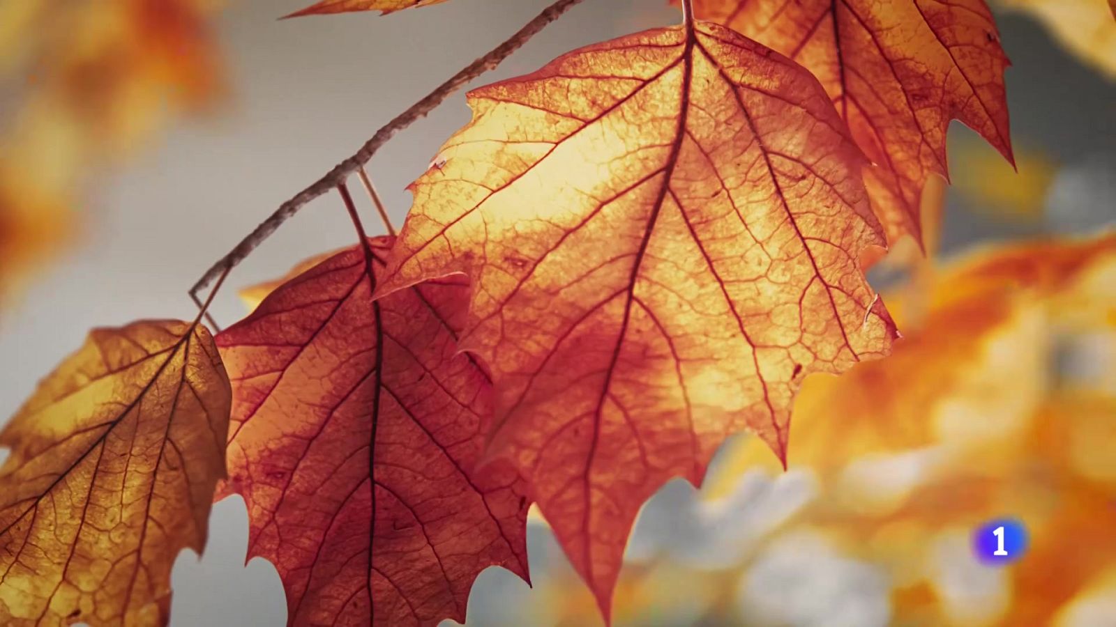 El tiempo en Galicia 06-10-2025 | Ver