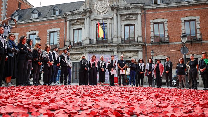 Informativo 24h - Una simbólica alfombra de amapolas por Gaza