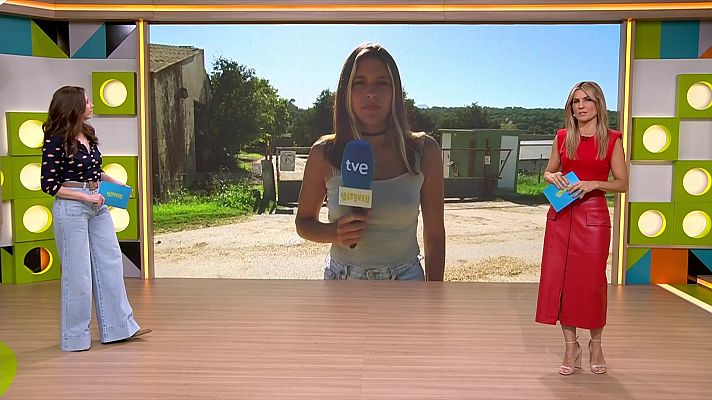 L'altaveu - Dermatosi Nodular, màfies i la família Bernat