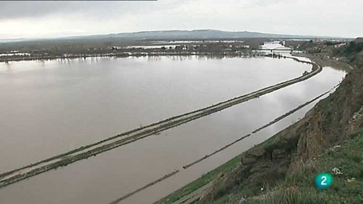 Agrosfera - Agrosfera - 26/01/13