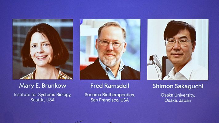 Telediario 2 - Nobel de Medicina para Brunkow, Ramsdell y Sakaguchi por descubrir las células que controlan al sistema inmunitario