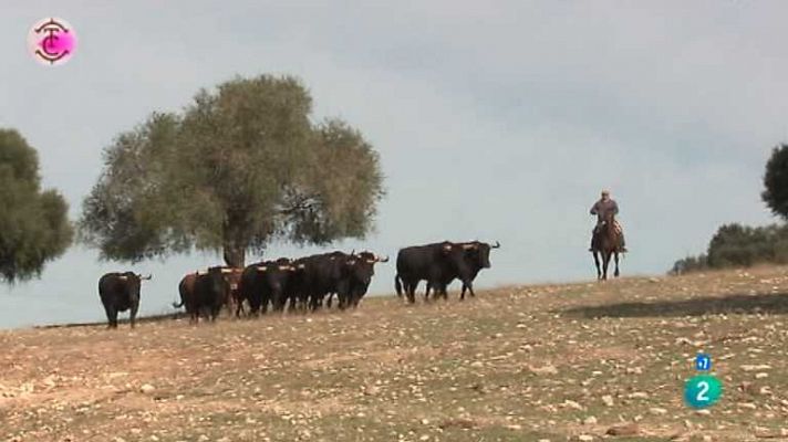 Tendido cero - Tendido cero - 26/01/13