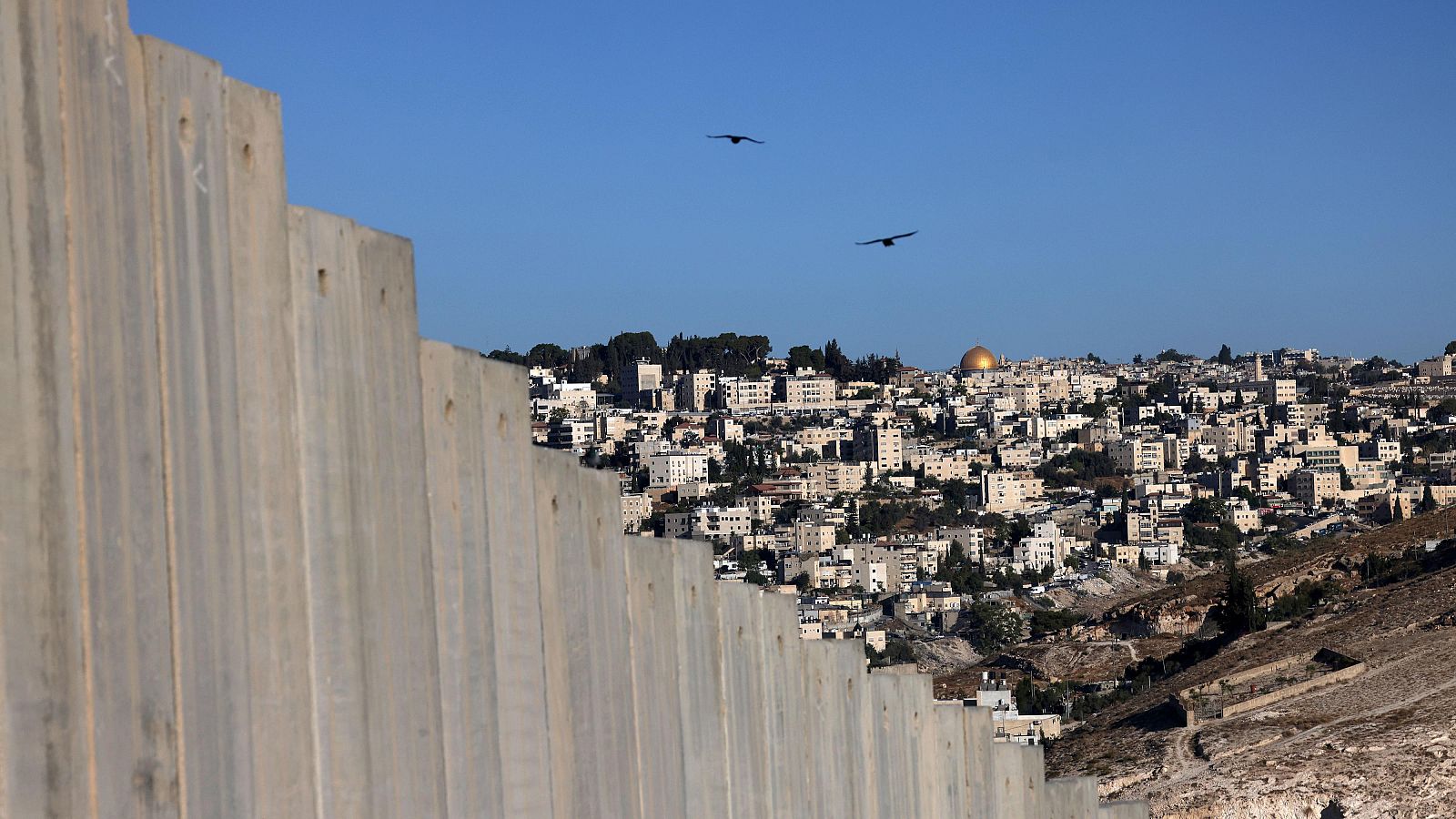 Meir Margalit, activista: "La paz en el Oriente Medio implica acabar con la ocupación en Cisjordania" | Ver
