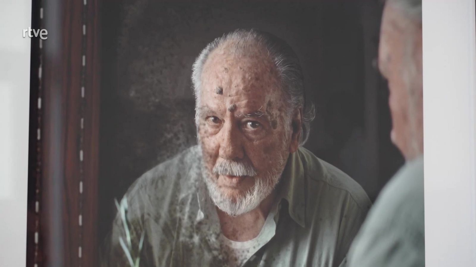 Ramón Gaya. Pájaro solitario | Ver