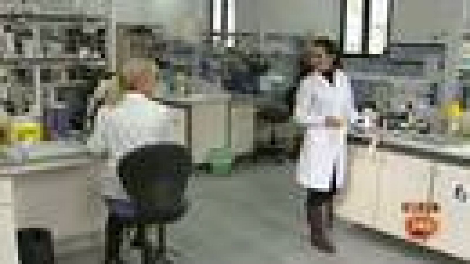 200.000 nuevos casos de lepra en todo el mundo - Informativo 24h | Ver