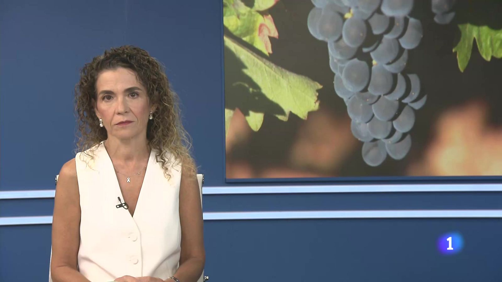 Informativo Telerioja 08-10-2025 - Informativo Telerioja | Ver