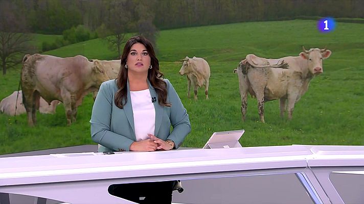 L'Informatiu - Els veterinaris alerten que sortiran més casos de dermatosi