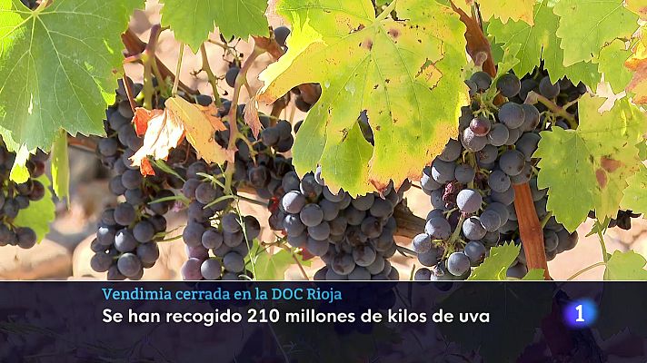 Informativo Telerioja - Informativo Telerioja 2 08-10-2025 Ver ahora