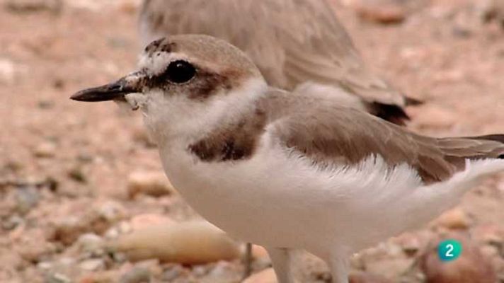 Biodiario - Biodiario - 27/01/13
