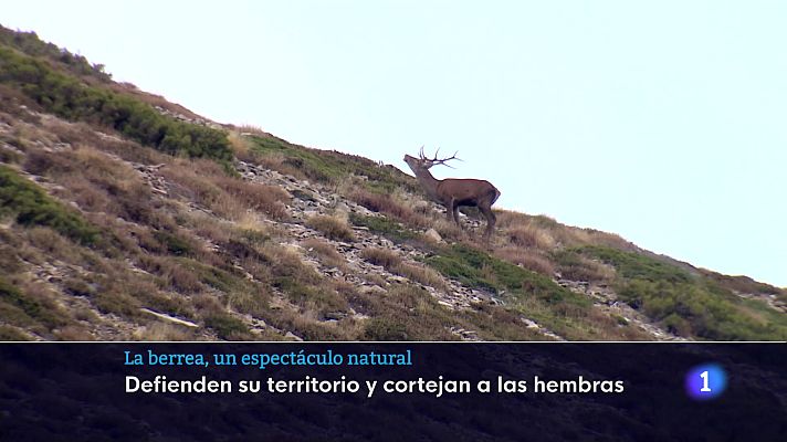 Informativo Telerioja - Informativo Telerioja 09-10-2025