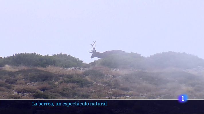 Informativo Telerioja - Telerioja en 2 - 09-10-2025