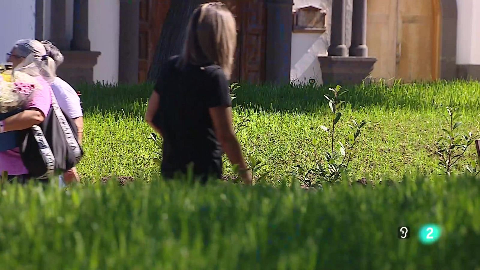 Telecanarias Tarde - 09/10/2025 | Ver