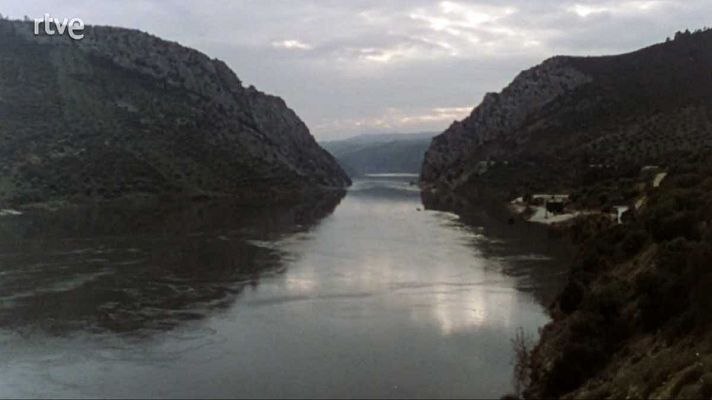 La raya - La raya mojada (II)