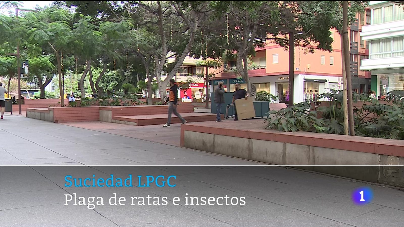 Telecanarias - 13/10/2025 | Ver