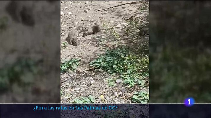 Telecanarias - Canarias en 2" - 13/10/2025