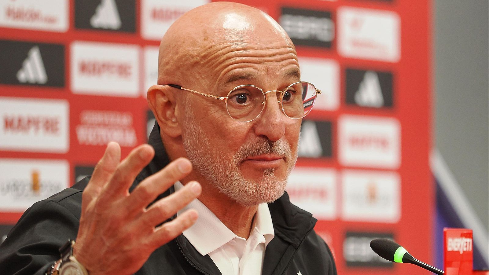 De la Fuente insiste en que Ferran Torres no está lesionado | Ver