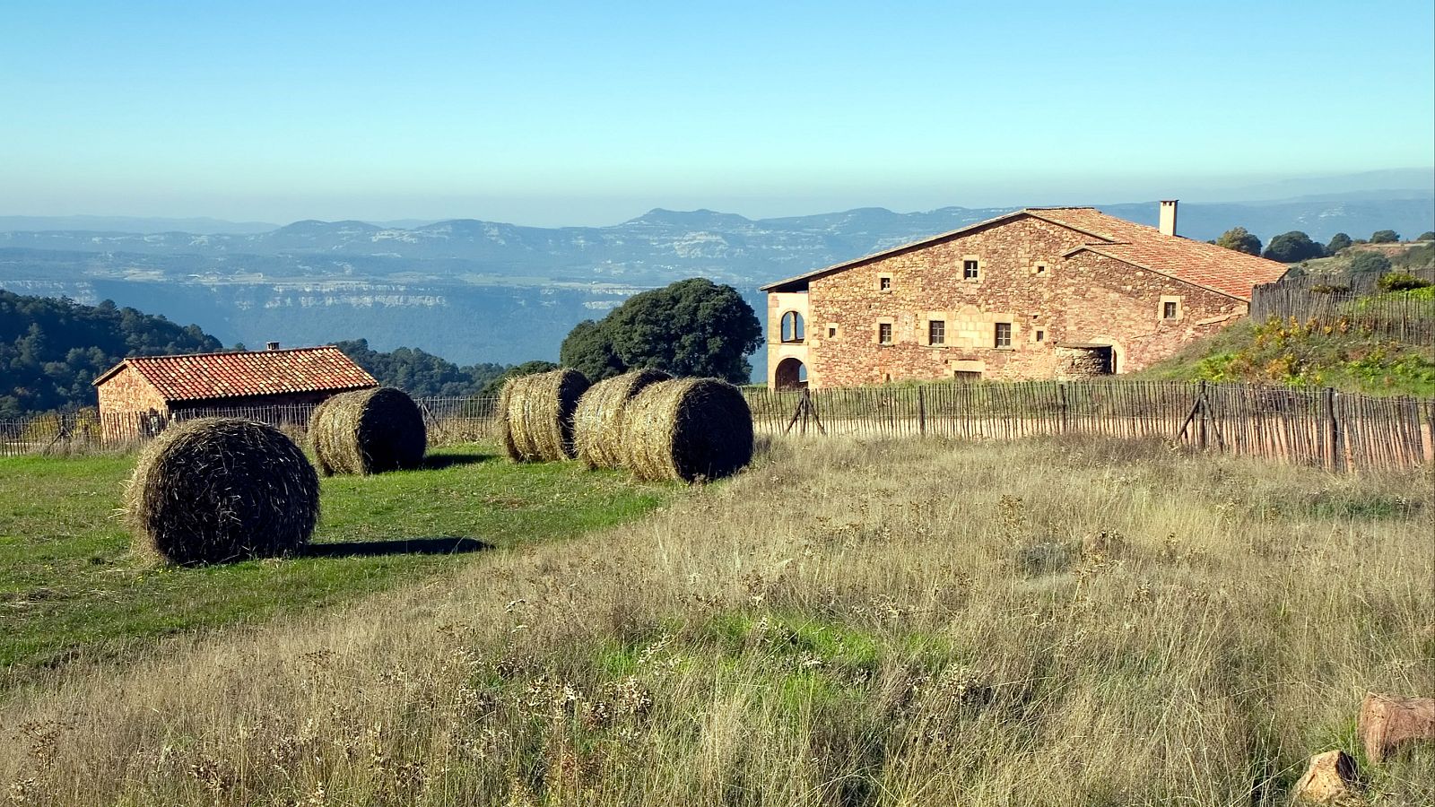 Dificultades del relevo generacional de las fincas rústicas - Telediario 1 | Ver
