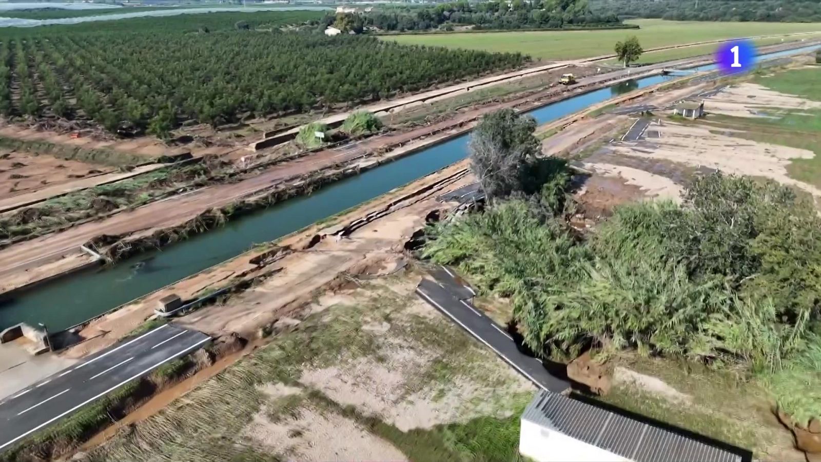 L'Informatiu - 14/10/2025