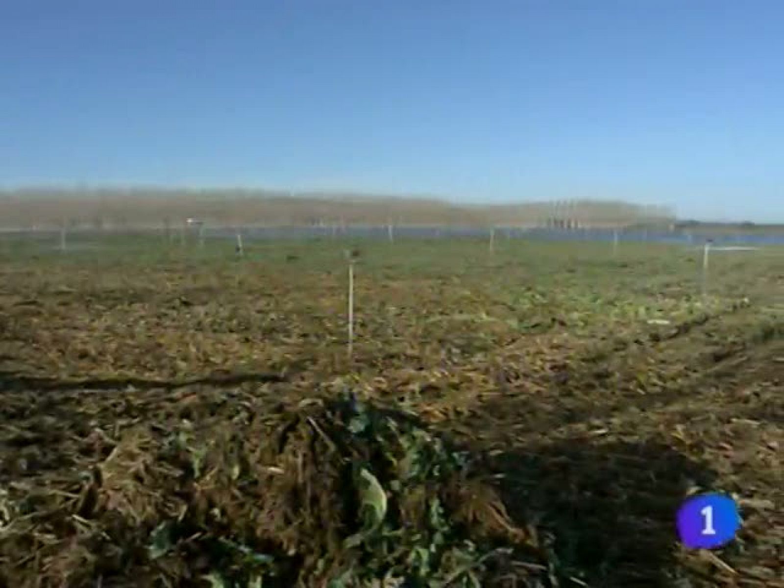 Telenavarra en 2' - 28/01/13 | Ver