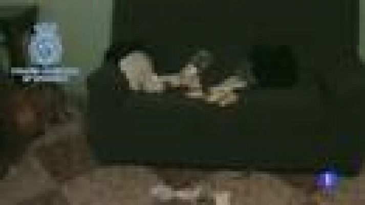 Telediario 1 - Clanes de la droga en Madrid