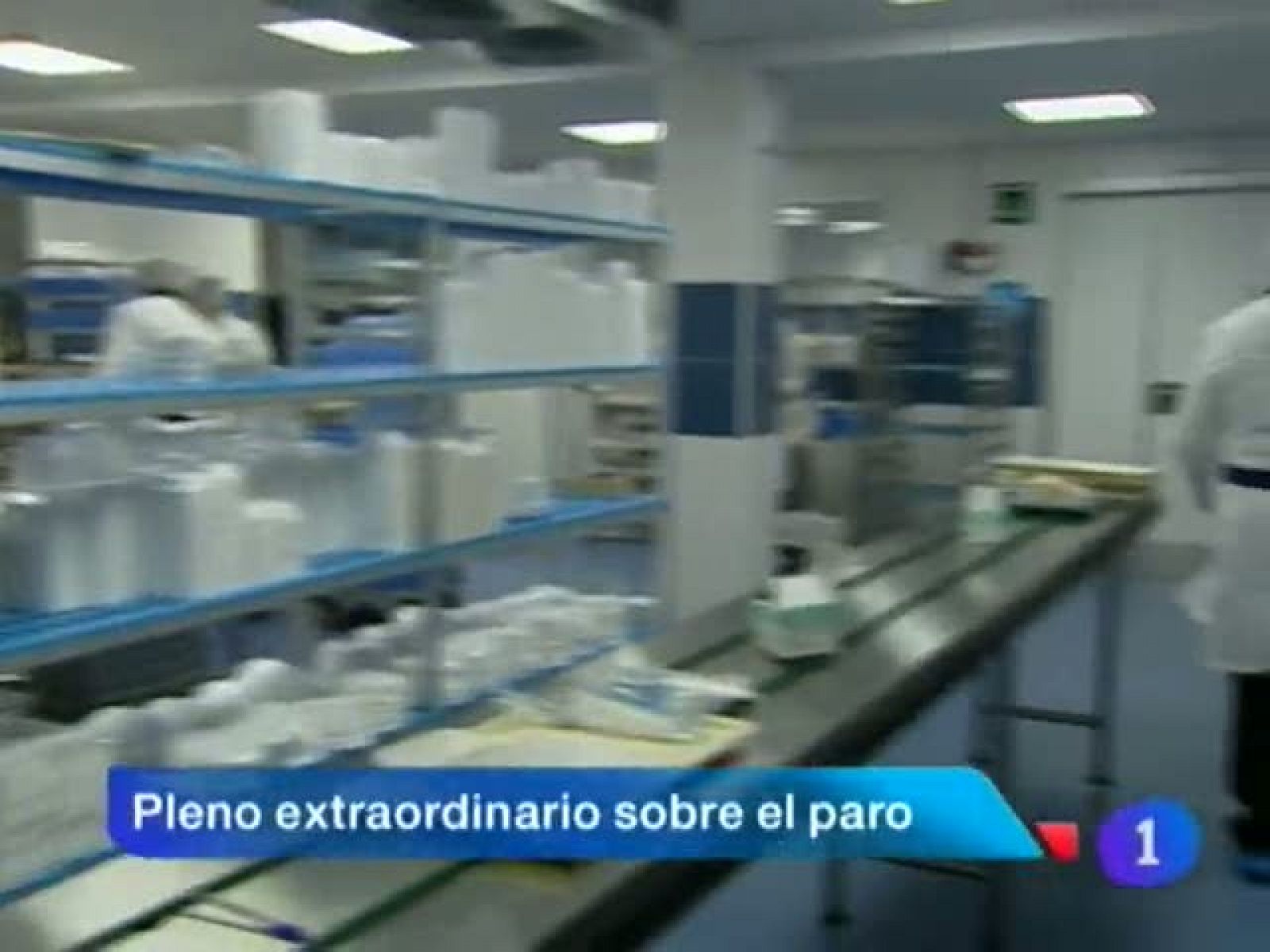 Telenavarra - 28/01/13 | Ver