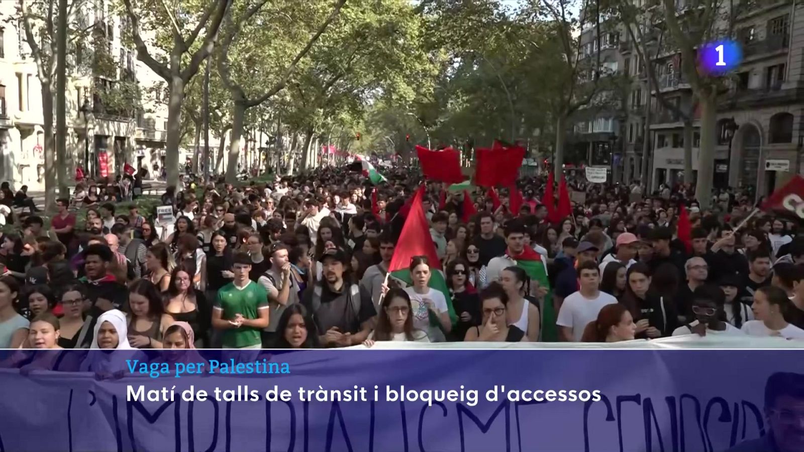 Talls de trànsit i bloqueig d'accessos per la vaga per Palestina