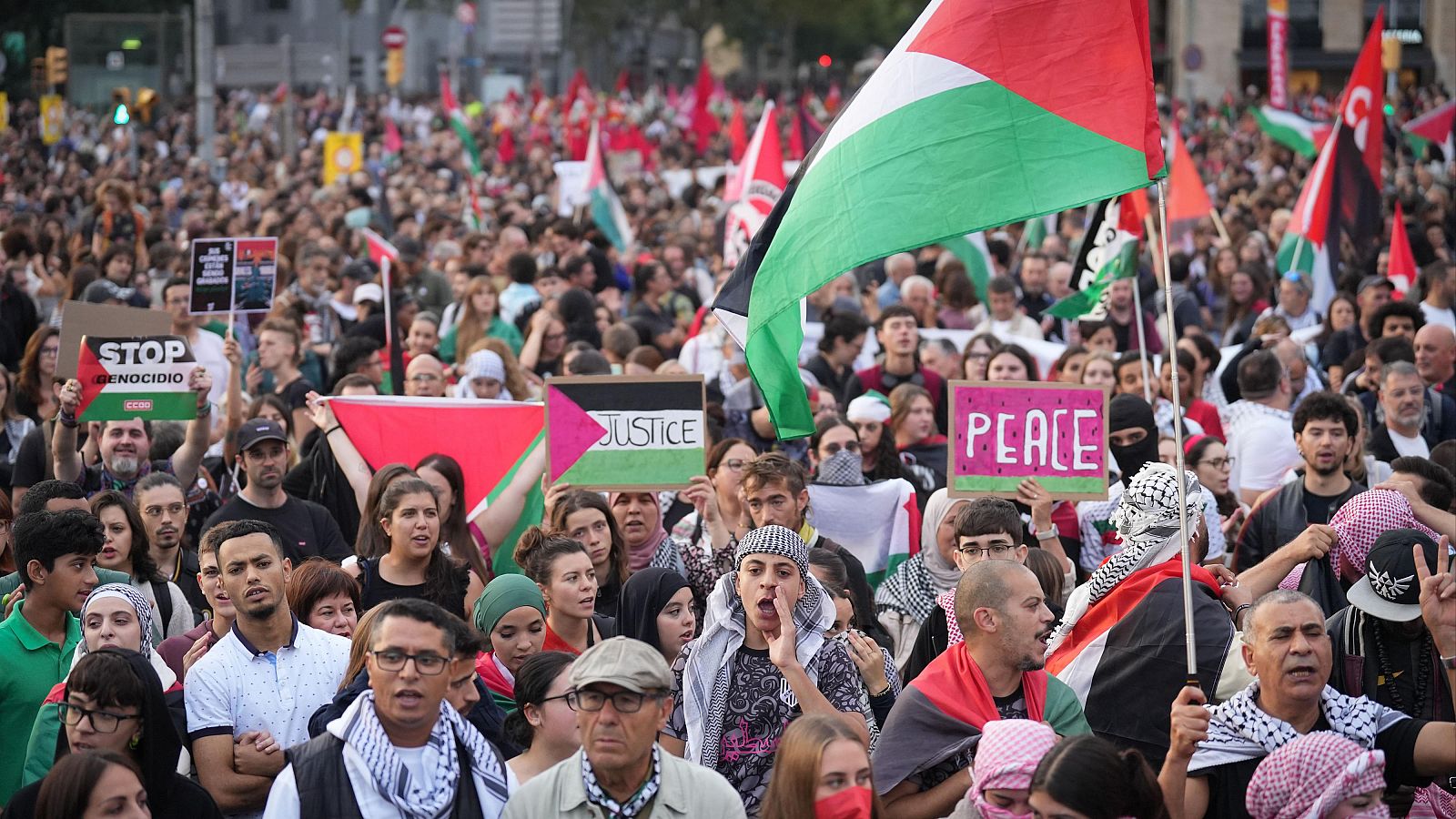 Paros y huelga general en apoyo a Palestina | Ver