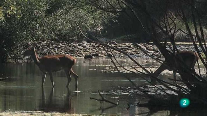 Biodiario - Biodiario - 28/01/13