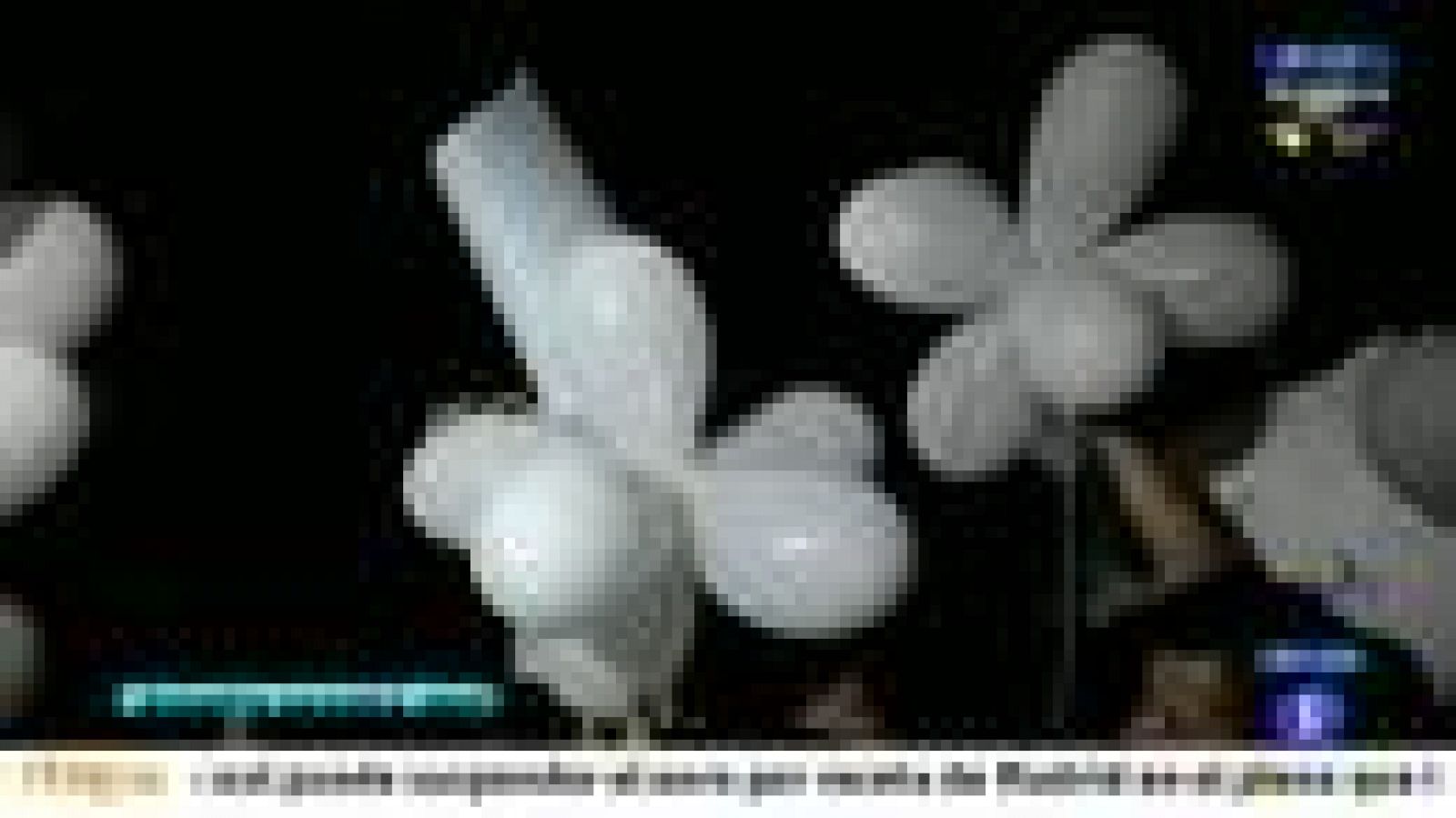 Miles de personas piden justicia por el incendio de la discoteca en Brasil