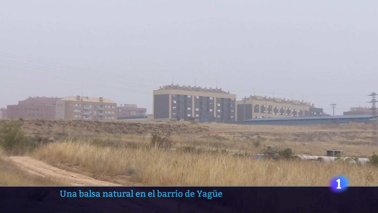 Telerioja en 2 - 17-10-2025 - Ver ahora | Ver