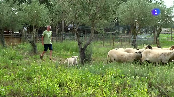L'Informatiu - Arguments a favor de l'agricultura regenerativa
