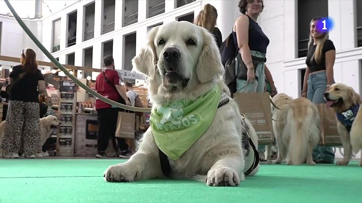 L'Informatiu - El paradís per als amants dels animals de companyia