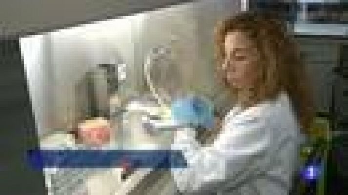 L'Informatiu - Una nova classificació mol.lecular del tumor de fetge permetrà trobar fàrmacs