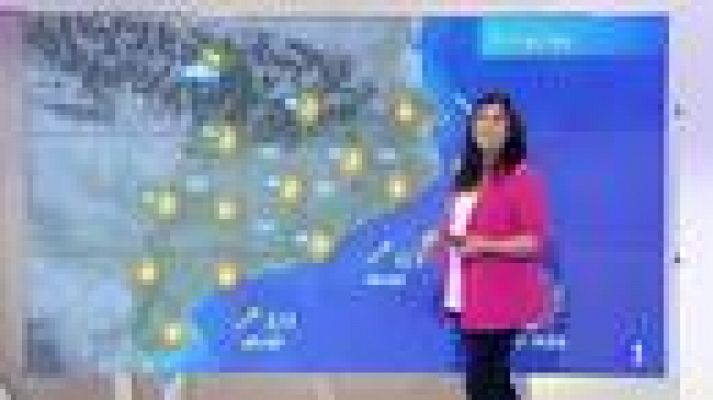 L'Informatiu - El temps - 29/01/2013