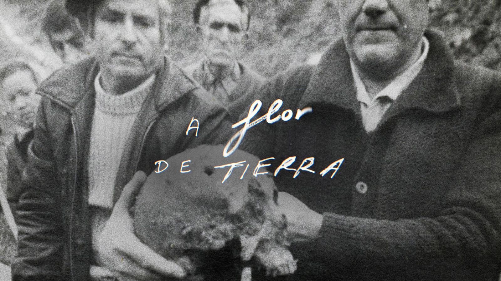 Trailer 'A flor de tierra' - A flor de tierra | Ver tráiler