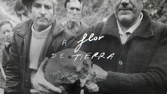 A flor de tierra - Trailer 'A flor de tierra', un documental sobre las primeras exhumaciones de la Transición