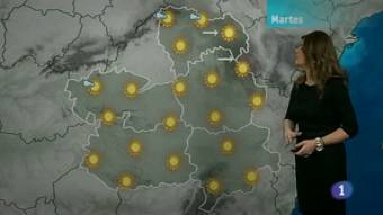 El tiempo en Castilla La Mancha (29/01/2013) | Ver