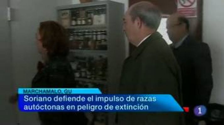 Noticias de Castilla La Mancha (29/01/2013)