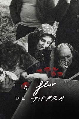 A flor de tierra - A flor de tierra