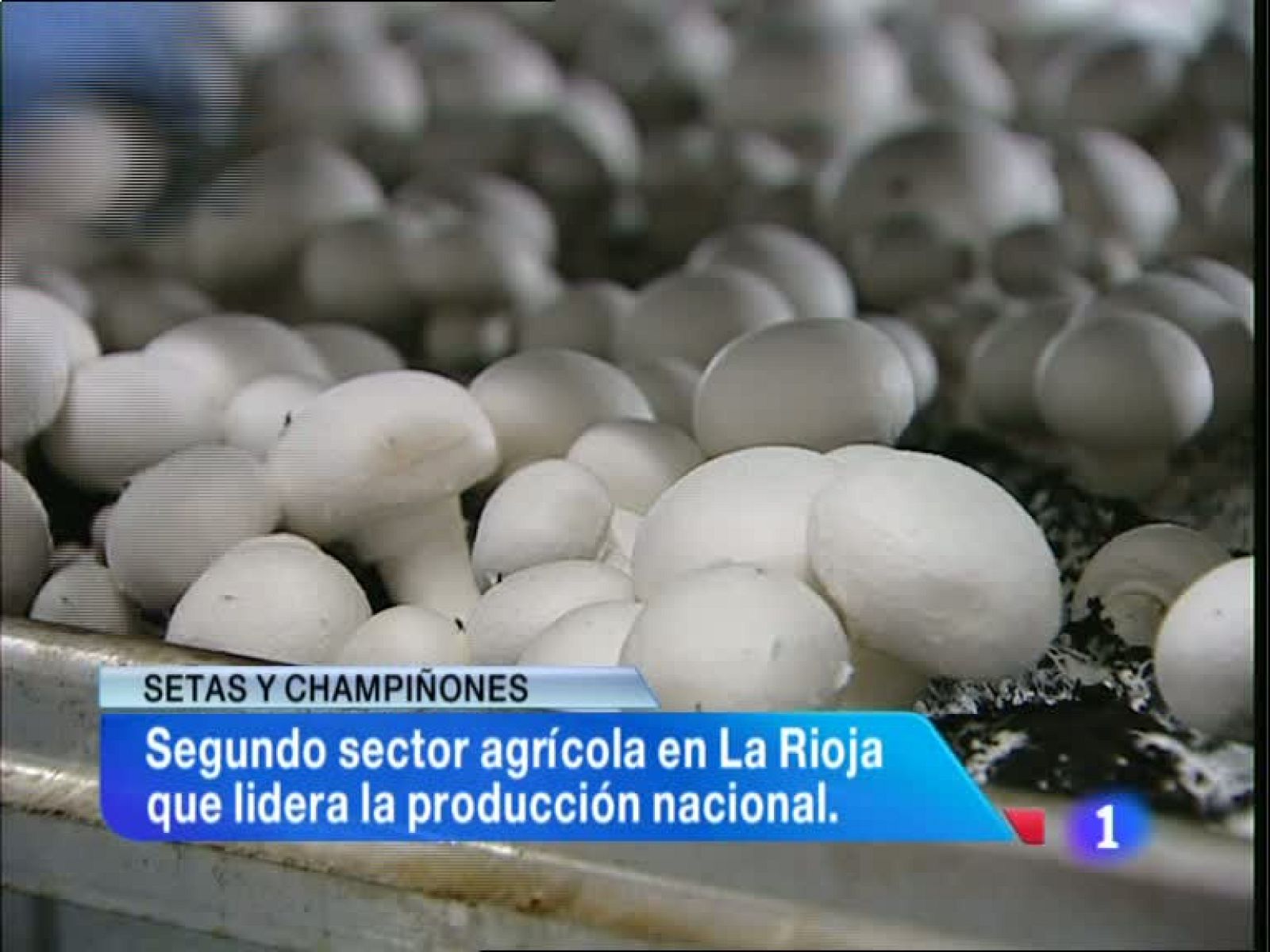 Informativo Telerioja 2 - 29/01/13 | Ver