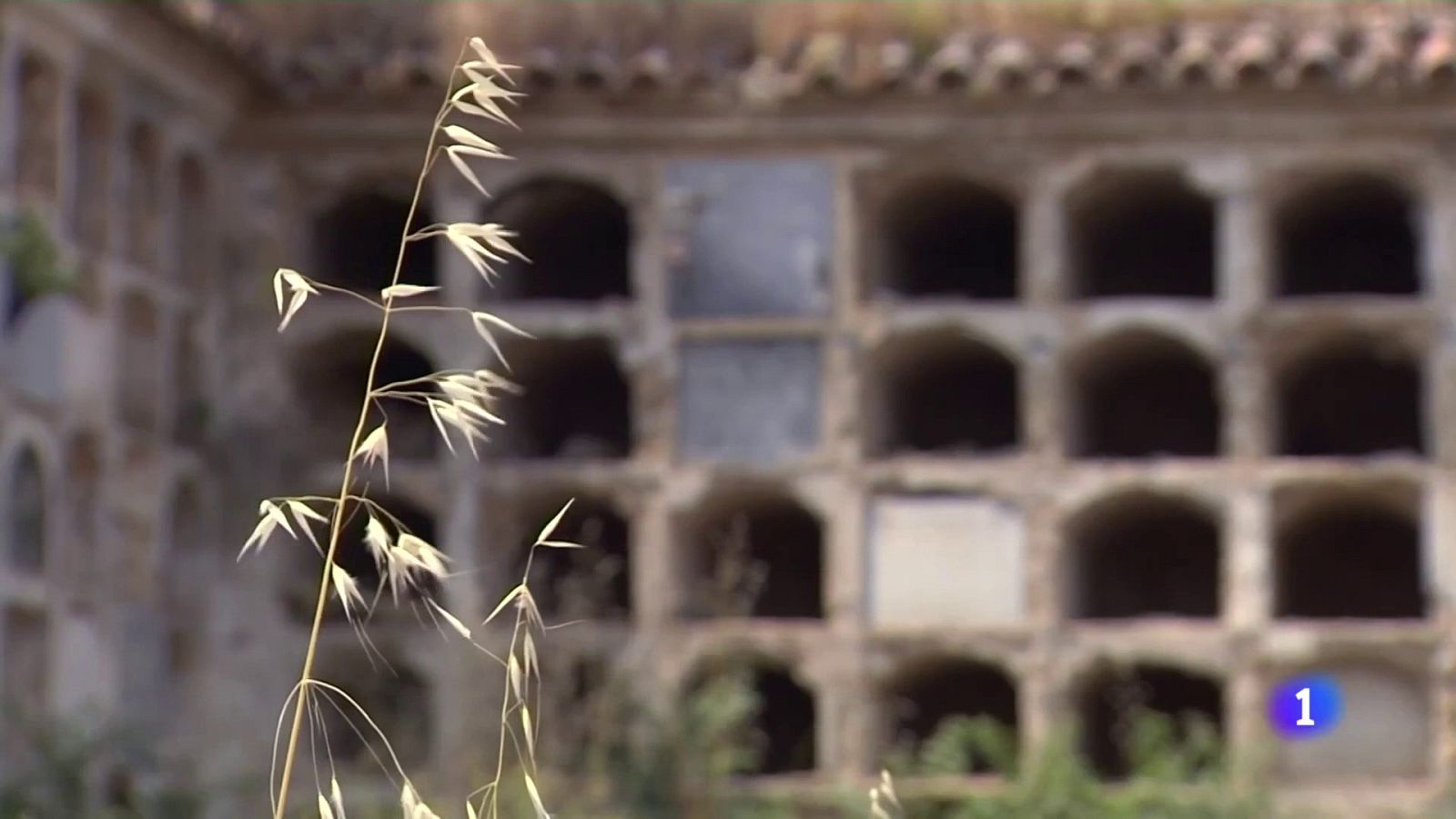 Comienzan las identificaciones de la fosa de San Eufrasio (Jaén) | Ver ahora