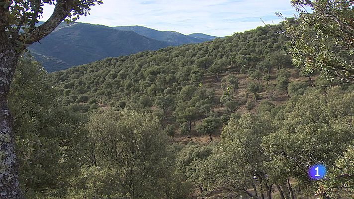 Informativo Telerioja - Informativo telerioja 2 - 21-10-2025